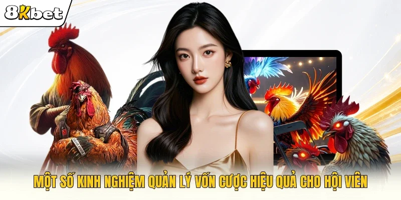 Một số kinh nghiệm quản lý vốn cược hiệu quả cho hội viên