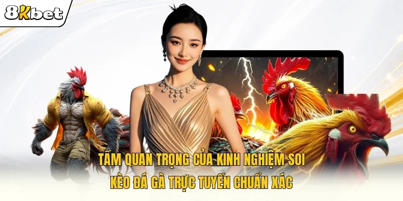 Tầm quan trọng của kinh nghiệm soi kèo đá gà trực tuyến chuẩn xác